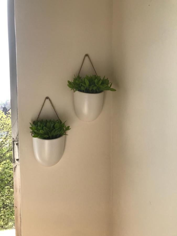 Béthune Appartement Cosy Hyper Centre Loulou At Home מראה חיצוני תמונה